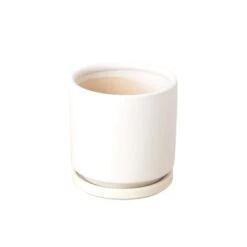 Cylinder Pot – 4 Inch